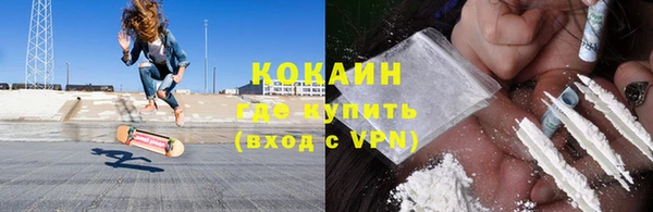 индика Дмитриев