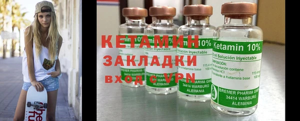 индика Дмитриев