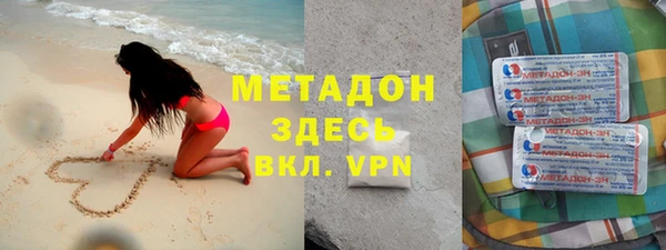 индика Дмитриев