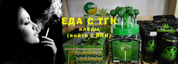 индика Дмитриев