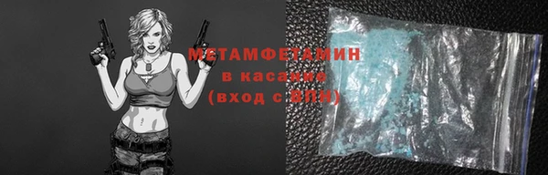 индика Дмитриев