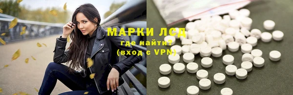 индика Дмитриев