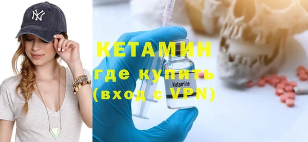 индика Дмитриев