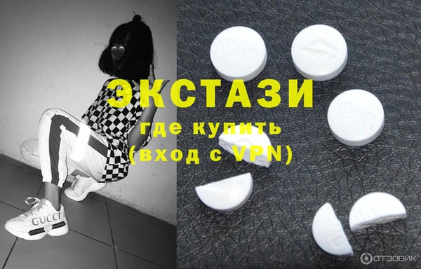 индика Дмитриев