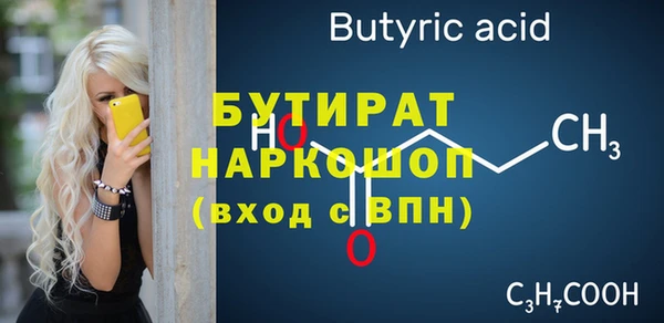 индика Дмитриев