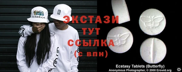 индика Дмитриев