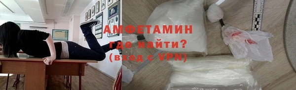 индика Дмитриев