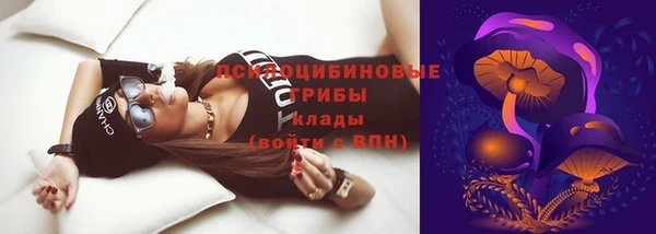 индика Дмитриев