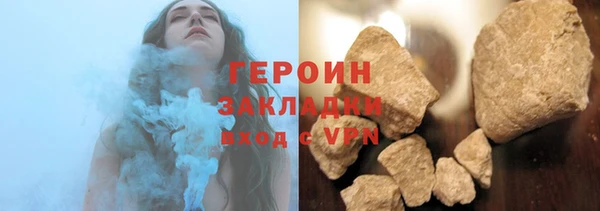 индика Дмитриев