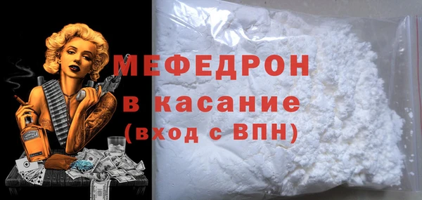 индика Дмитриев