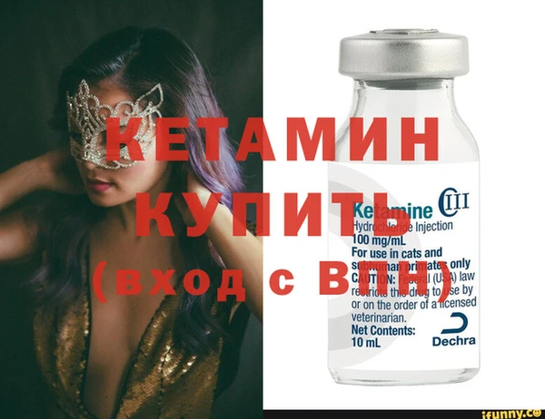 индика Дмитриев