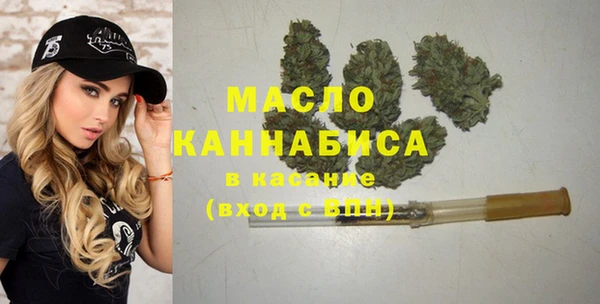 индика Дмитриев