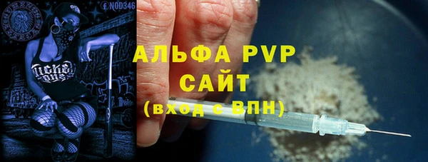 индика Дмитриев