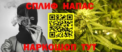 гидра Гатчина