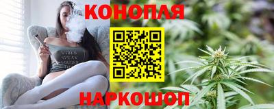 гидра Гатчина