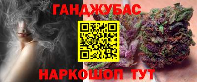 гидра Гатчина