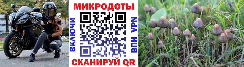 Галлюциногенные грибы Magic Shrooms что такое наркотик Зеленогорск