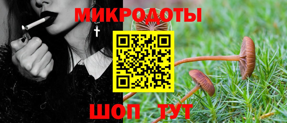 Галлюциногенные грибы GOLDEN TEACHER  Вход с VPN  Галлюциногенные грибы мухоморы  Зеленогорск 